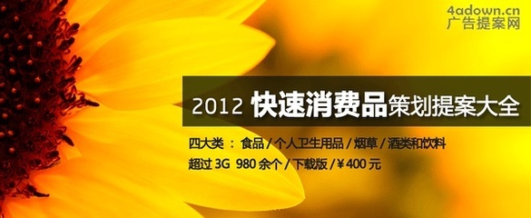 2012年快速消費品營銷策劃提案——個人衛生用品銷售專案